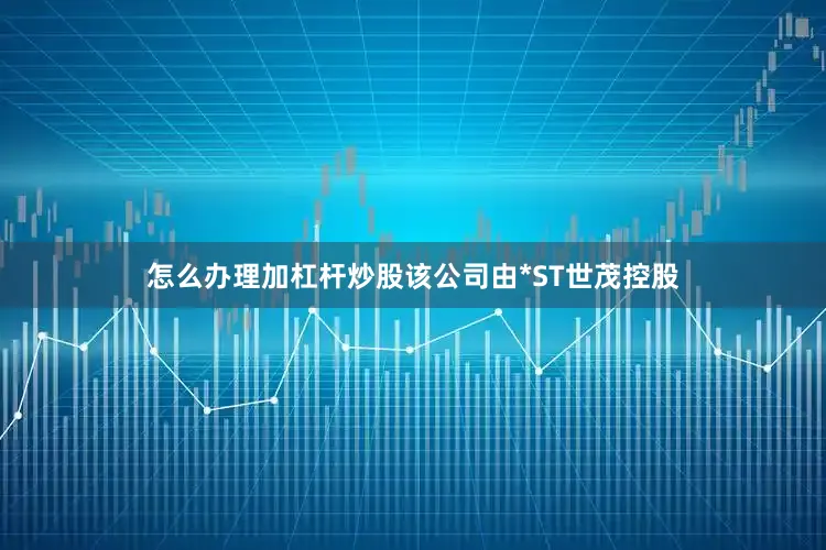 怎么办理加杠杆炒股该公司由*ST世茂控股