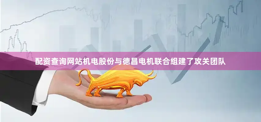 配资查询网站机电股份与德昌电机联合组建了攻关团队