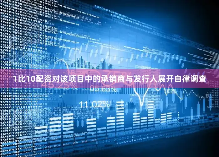 1比10配资对该项目中的承销商与发行人展开自律调查