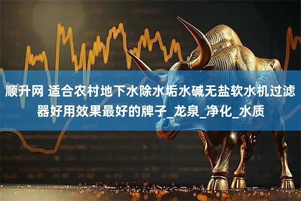 顺升网 适合农村地下水除水垢水碱无盐软水机过滤器好用效果最好的牌子_龙泉_净化_水质