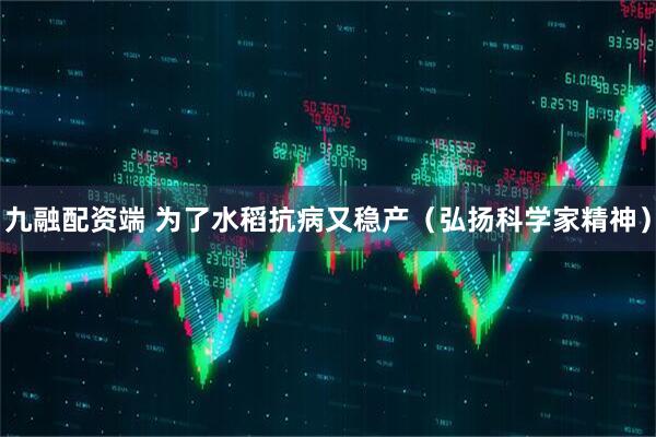 九融配资端 为了水稻抗病又稳产（弘扬科学家精神）